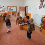 phoca_thumb_m_zajci pirti 10 Fotogalerie